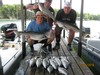 (05/25/2018) - Nice Striped Bass